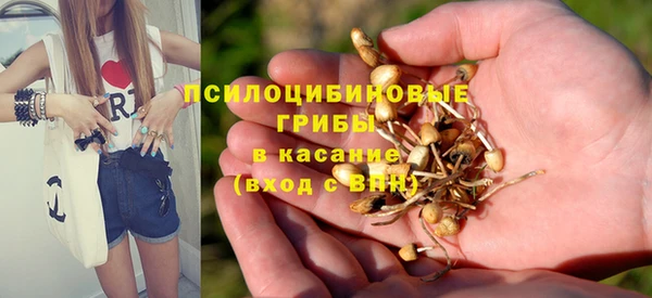 прущий лед Алексеевка
