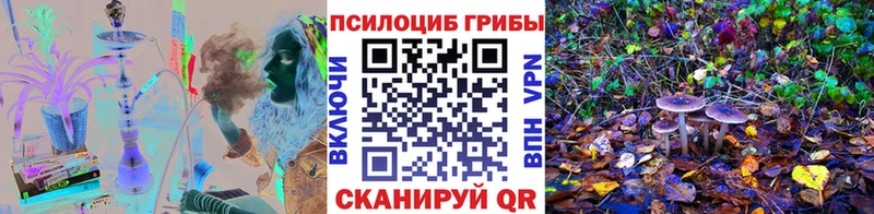 Псилоцибиновые грибы мицелий  Зеленоградск 